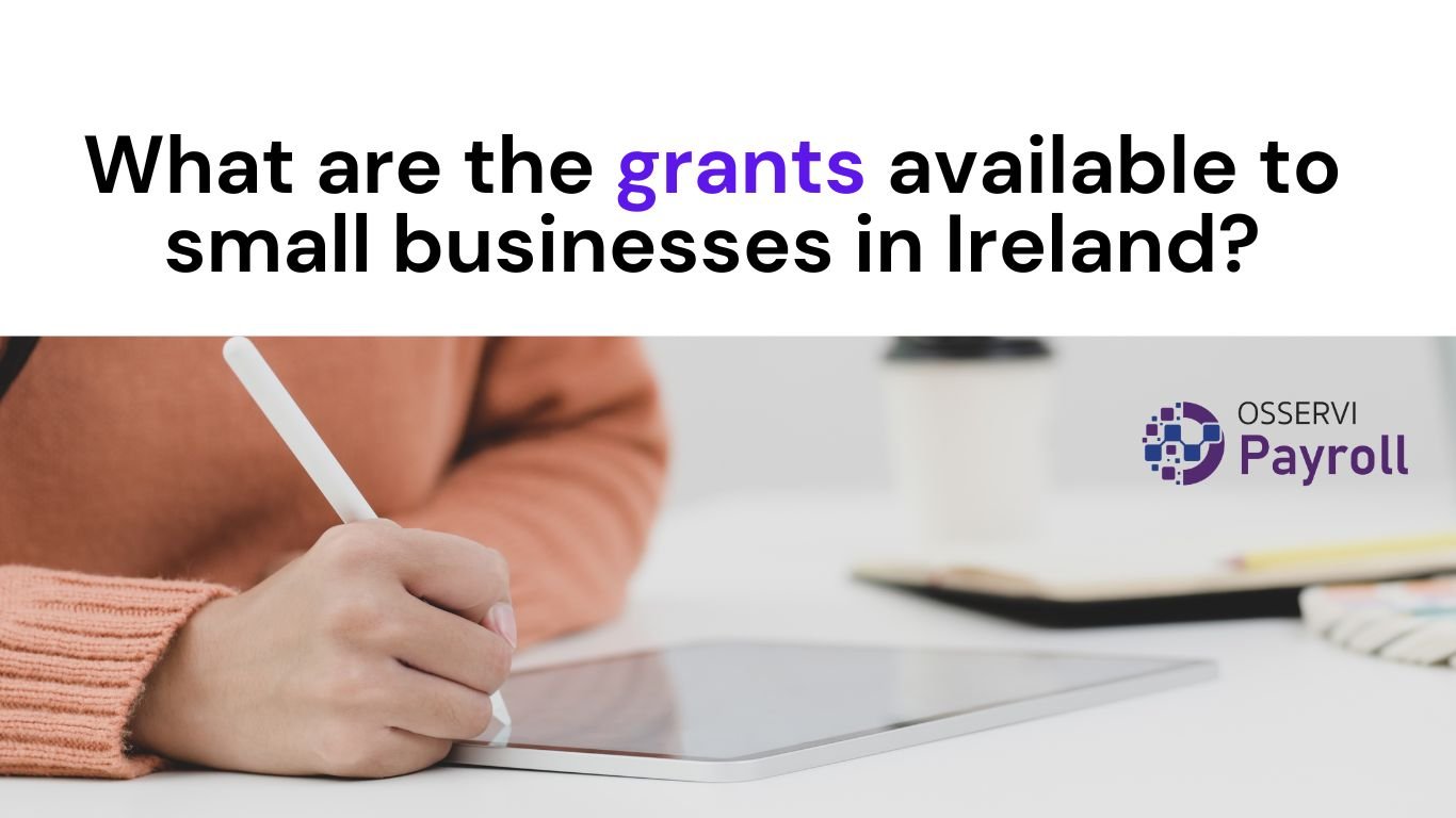 Business grants and supports in Ireland